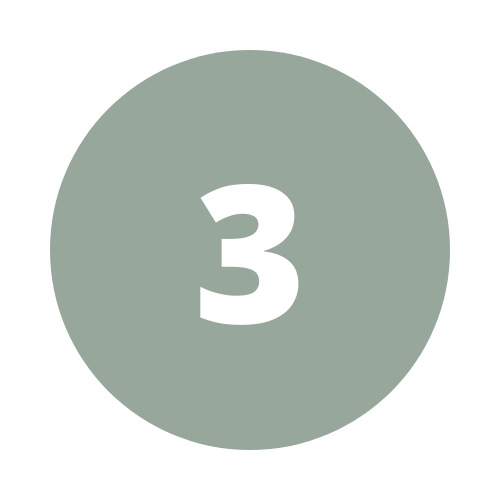 Step 3 icon